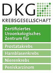 Logo DKG neu